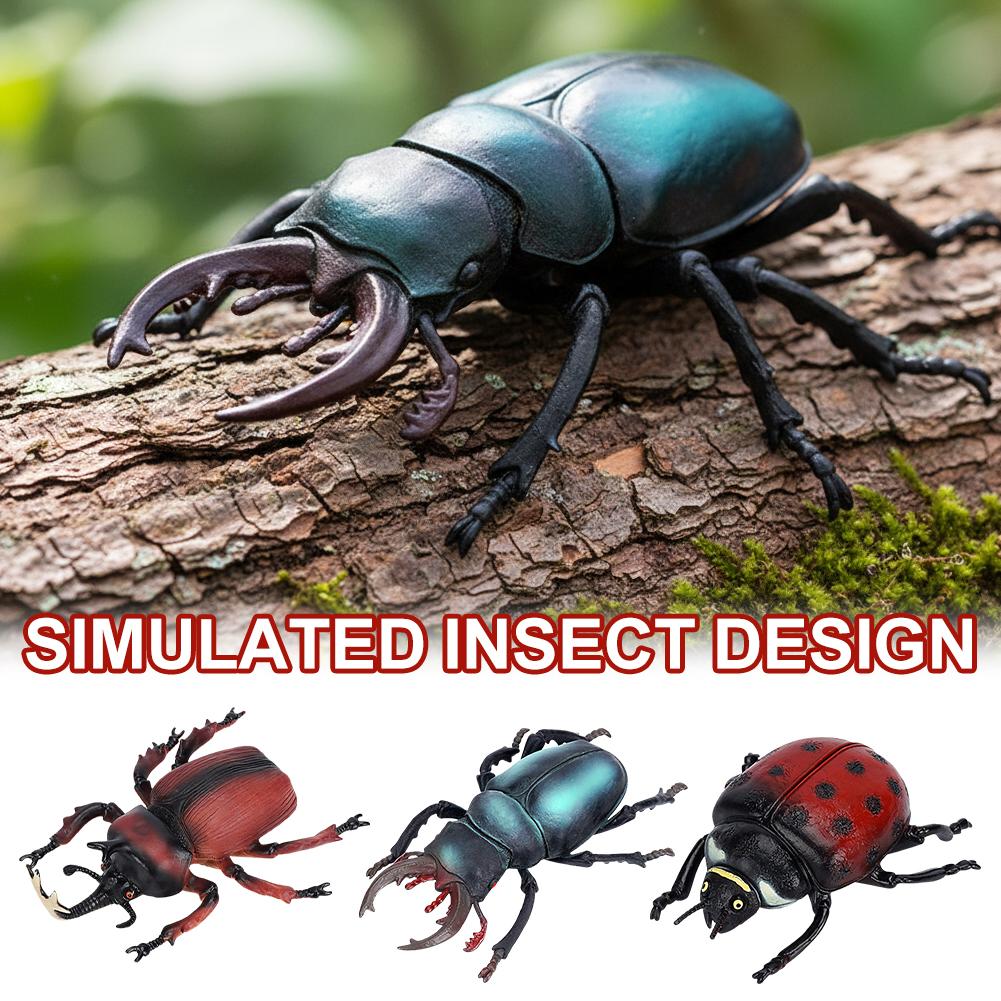 Science Toys - Realistic Stag Beetle Figurine Toy Lifelike