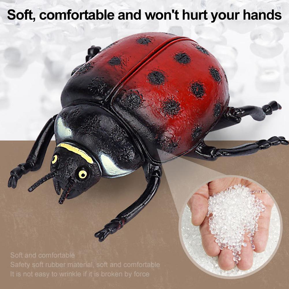 Realistic Stag Beetle Figurine - Science Toys review and price