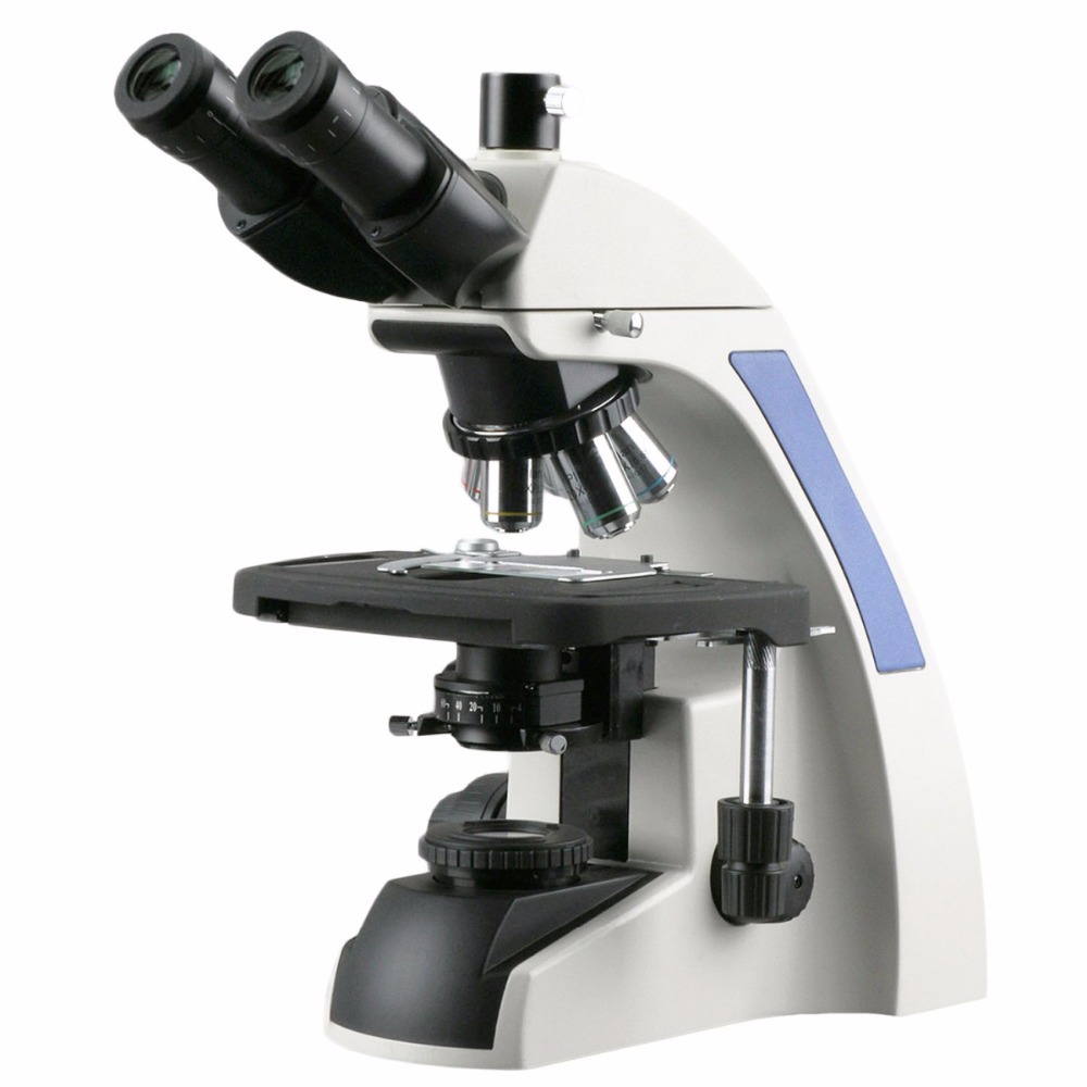 AmScope T720 Series Infinity-C - Microscope Compound 40X review and price