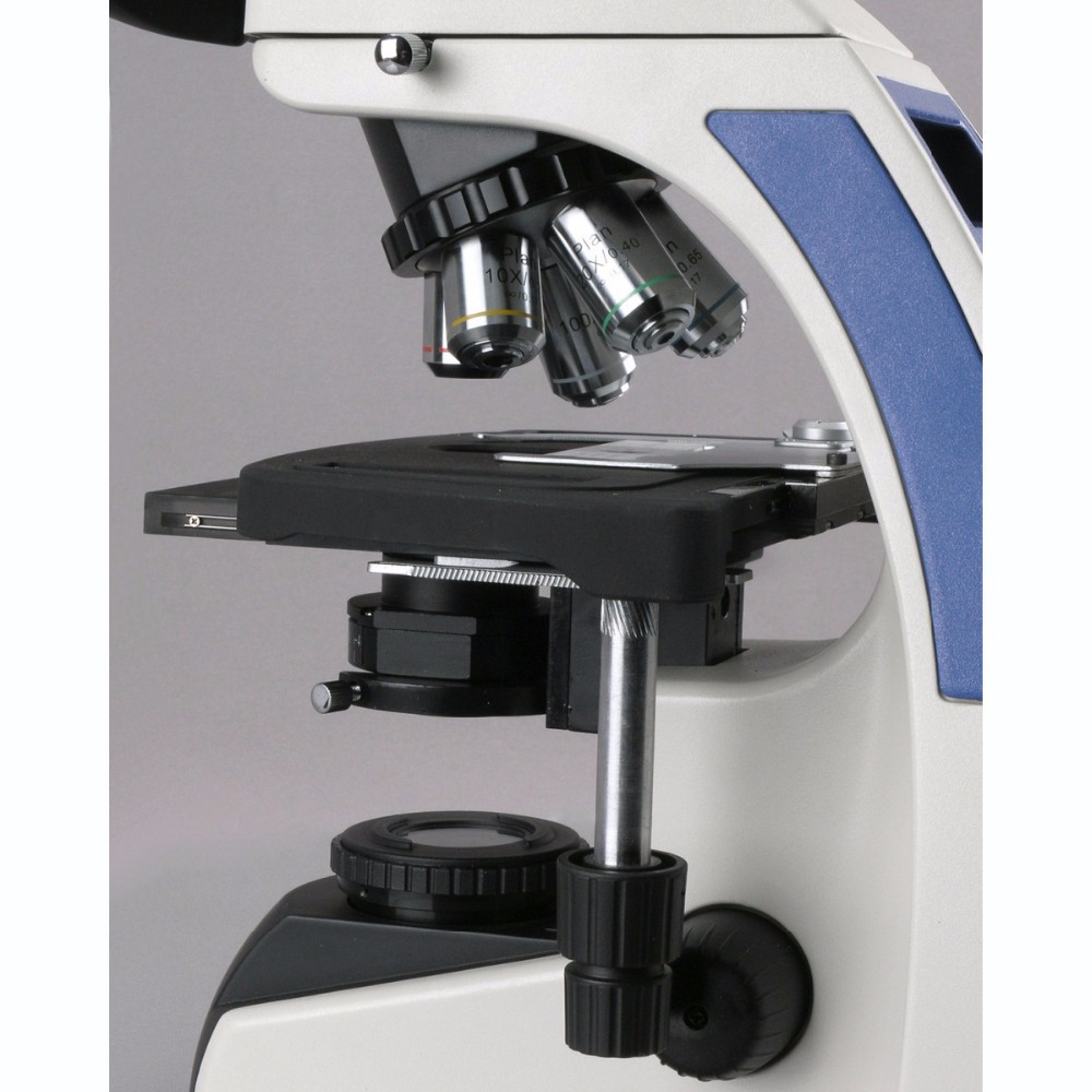 AmScope T720 Series Infinity-C - Microscope Compound 40X review and price