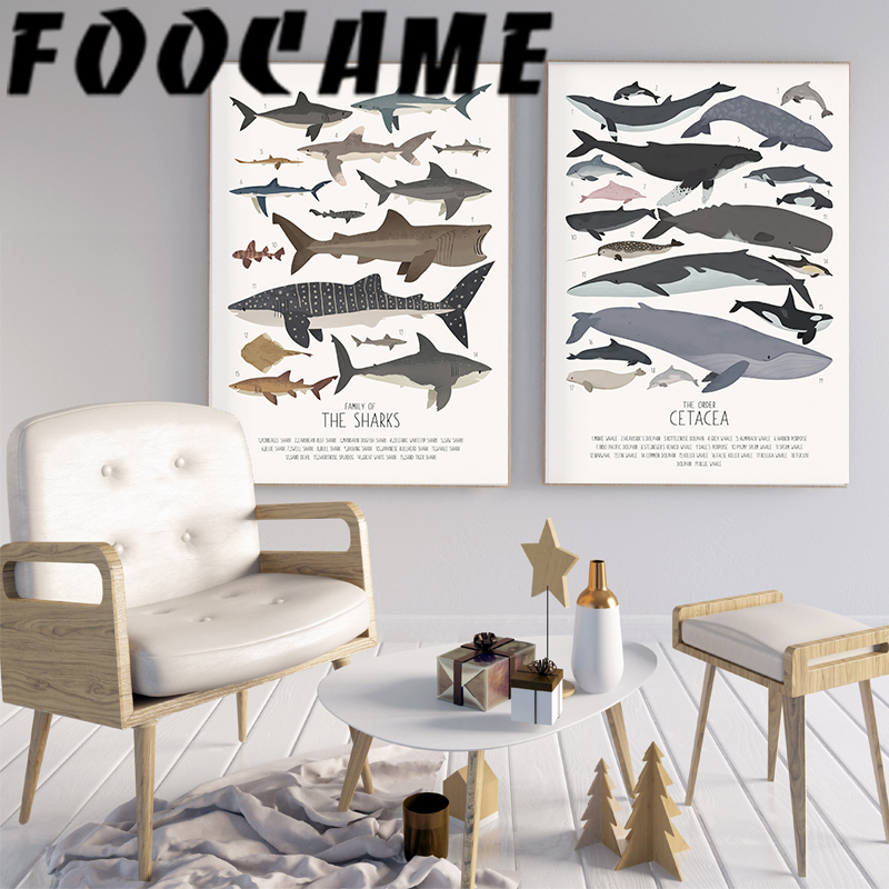 Deep-Sea Fish and Sharks Scien - Science Nursery review and price