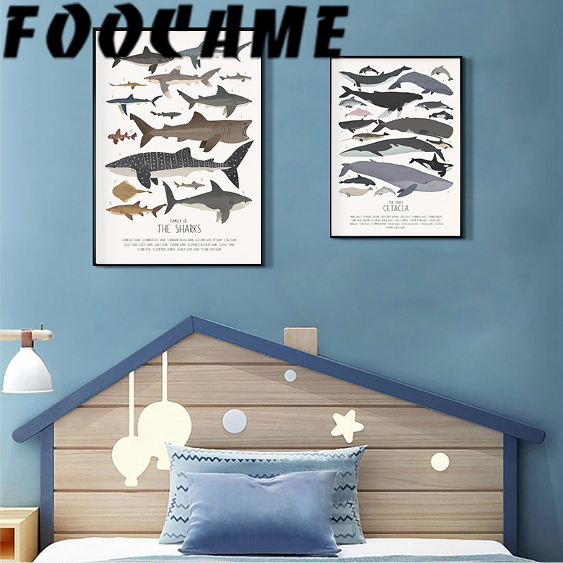 Deep-Sea Fish and Sharks Scien - Science Nursery review and price